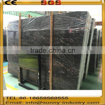 Yana Marble, Black Background & gold Vein Marble