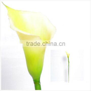 Nearly Natural Calla Lily