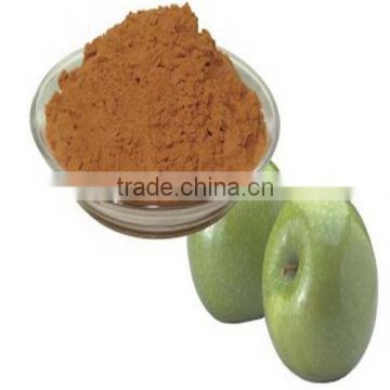 100% Water Soluble 75%/80% Polyphenol Apple fruit extract