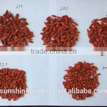 DRIED GOJI BERRY photo-6