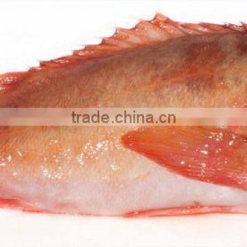 Redfish Sebastes Marinus