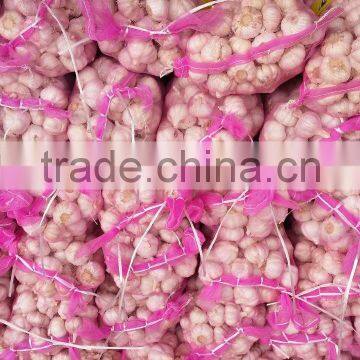 2016 Natural Red Garlic With Competitive Price photo-3
