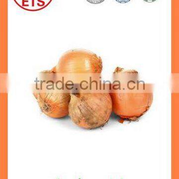Export China Fresh Organic New Crop Red and Yellow Onion photo-3