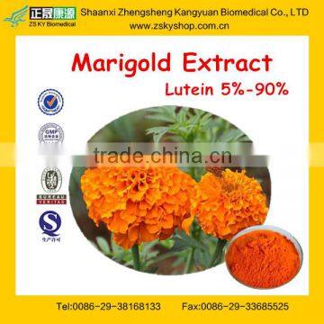 Main Product Marigold Flower Extract Lutein Powder