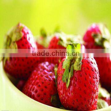 Healthy and Delicious Strawberry Chocolate Snack Food79
