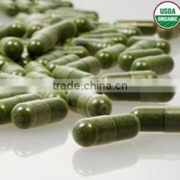 Matcha Natural USDA With Private Label photo-6