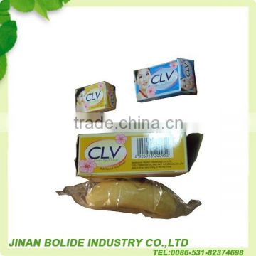 100g Soap/Bath Soap/Toilet Soap