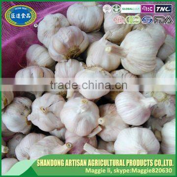 Good faith garlic suppliers for international market