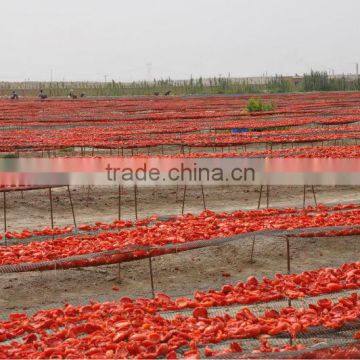 Sun Dried Tomato Halves for Delicious Sauces photo-2