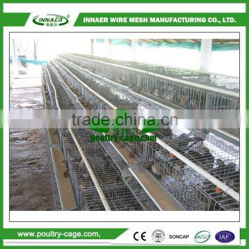 Made in China quail cage and water system