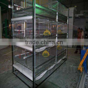 H Type Pullet Rearing Equipment 3tiers