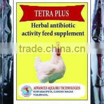 Tetra plus-Herbal antibiotic Poultry medicine.