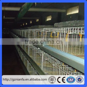 Direct Guangzhou factory about chicken layer cage for sale with chicken cage in China/chicken cage(Guangzhou Factory)