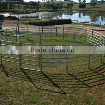 Galvanized steel beautiful cow fence