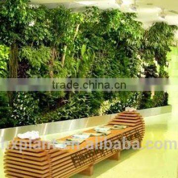 2017 Artificial Plants Walls & Vertical Decorative Wall