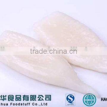 Frozen Squid Tube Price Giant Squid