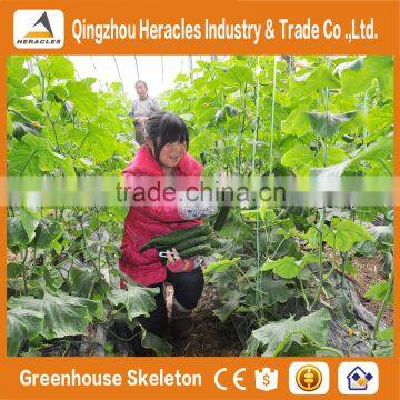 Heracles Trade Assurance Low Cost Greenhouse for Agriculture photo-4