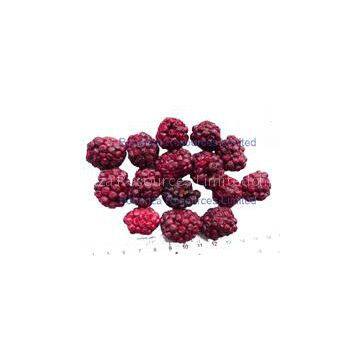 Freeze Dried Blackberry