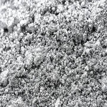 Silver Dollar Paste photo-2