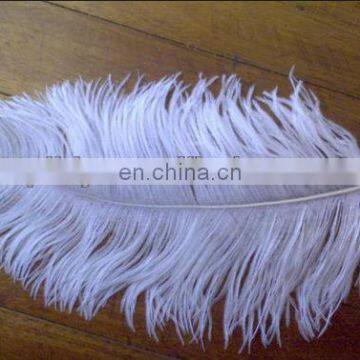 lovely white 35-40cm ostrich feather from south Africa