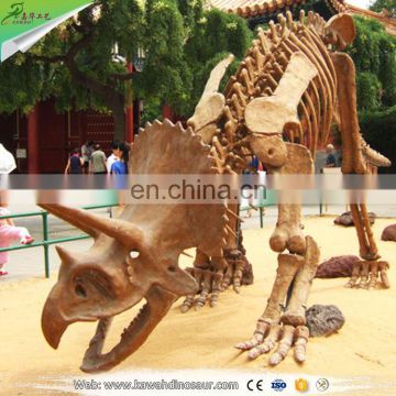 Resin dinosaur skeleton for sale