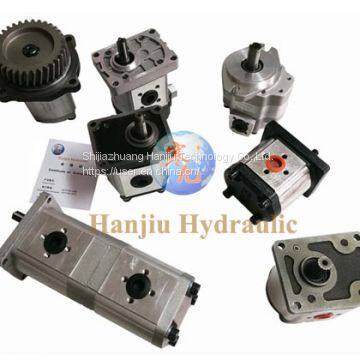 China hydraulic pump