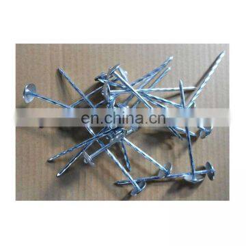 Galvanized Roofing Nails With Umbrellas Head 25kg/ctn