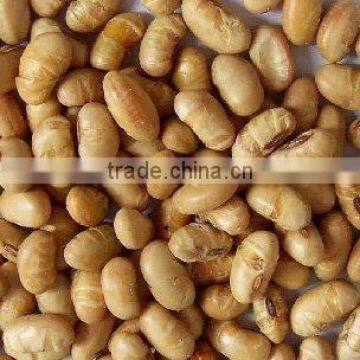 Instant Organic Roasted Soybean
