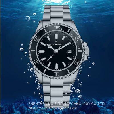 Stainless Steel Mechanical Watches Man Fashion Water Resistance Automatic Watch