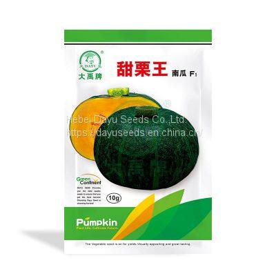 Medium/large fruit variety sweet waxy pumpkin        Pumpkin Seeds Suppliers       Chinese Pumpkin Seeds For Sale