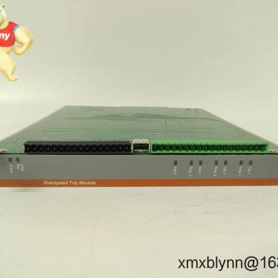 Metso IOP345 Digital Input Modul: Zuverlässige Signalerfassung für raue industrielle Umgebungen photo-1