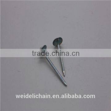 Factory Competitive Price Umbrella Head Roofing Nails photo-4