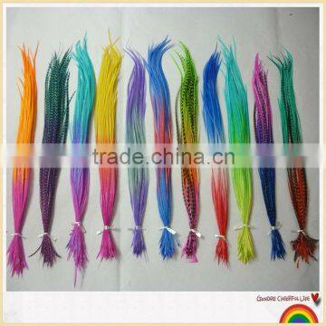 2014 New Arrival hot selling ombre rooster feather ombre colors