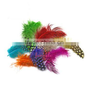 colorful natural decorative feather for nails