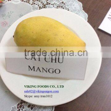 TASTY - FRESH MANGO - GOOD QUALITY - COMPETITIVE PRICE