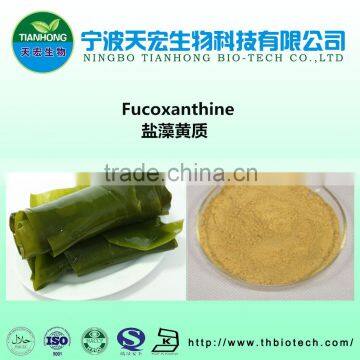 manufacturer 100% natural fucoxanthin