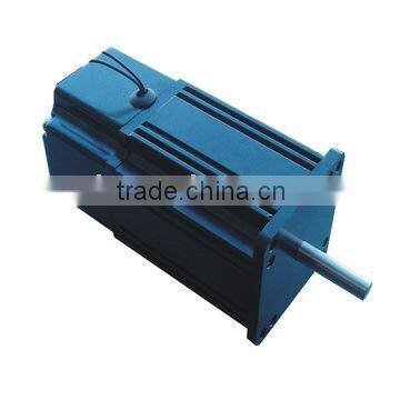 Low speed brushless DC motor