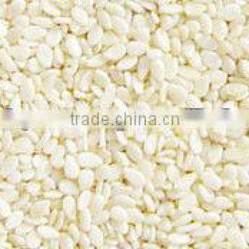 Hulled WaterMelon Seeds photo-3