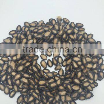 f1 Watermelon Seed Chinese Melon Seeds f1 photo-3