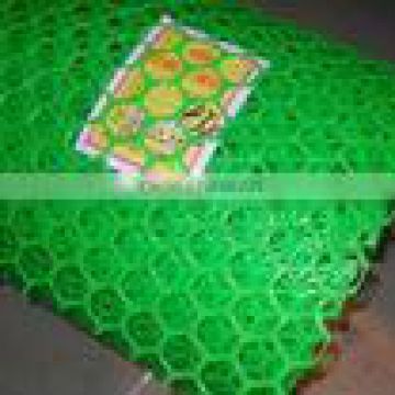 Standard HDPE Hexagonal Plastic Mesh(factory in Guangzhou)