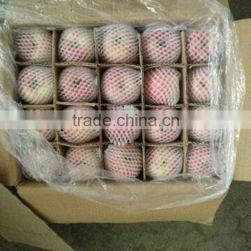 Unbagged Qinguan Apples photo-4