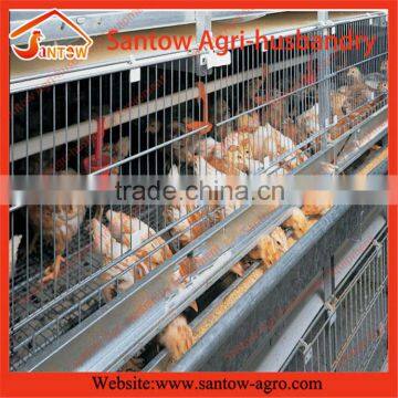 Low price automatic poultry layer cages systems