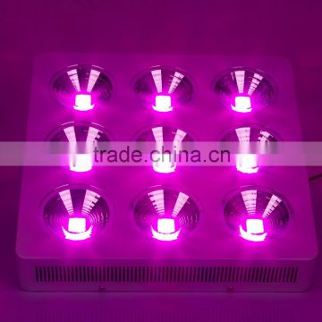 SZ Factory Taiwan Epileds COB / Apollo Series LED Plant Grow Lamp / IP65 Water-proof LED Plant Grow Strip / UFO / T8 / T5 Tube