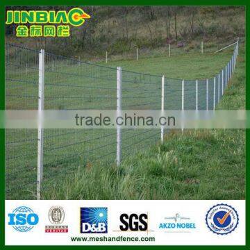 Cattle mesh fence