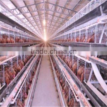 new technology cheap chicken farm building