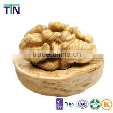 TTN 2015 Walnut Halves Chinese Walnut Without Shell Price