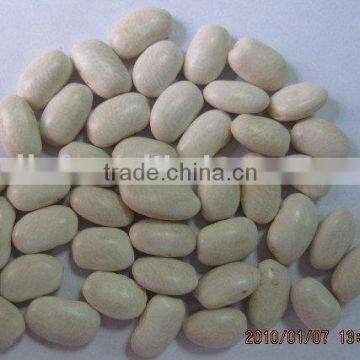 white kidney bean/white bean