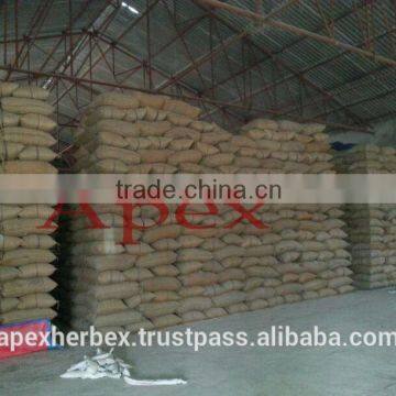 Barley for Malt / Barley Seeds / Hordeum Vulgare / Malt Grade Barley photo-3