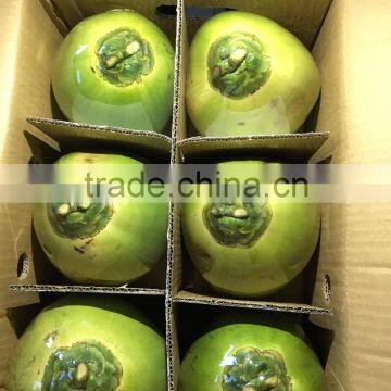 Diamond Shape Fresh Young Coconut