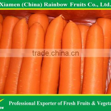 Best fresh carrot 2015